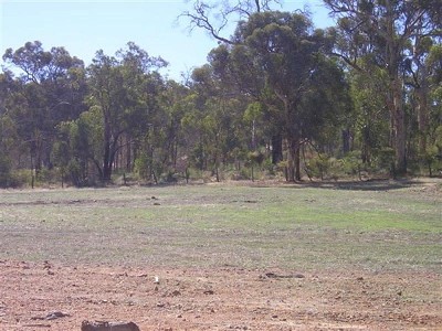 GOLDEN HILLS ESTATE Picture