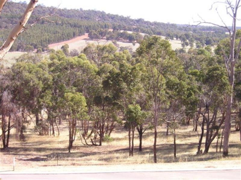 GOLDEN HILLS ESTATE Picture 3