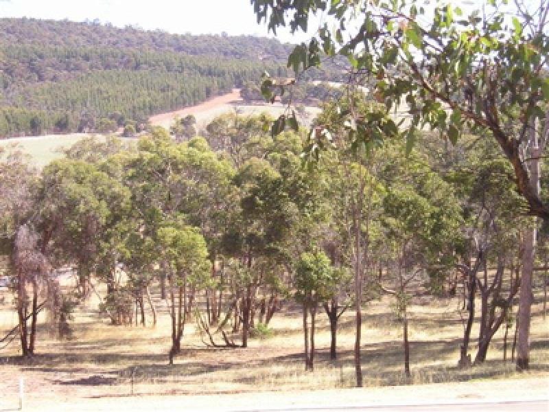 GOLDEN HILLS ESTATE Picture 2