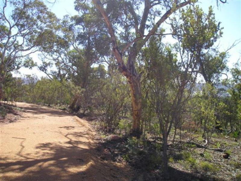 GOLDEN HILLS ESTATE Picture 2