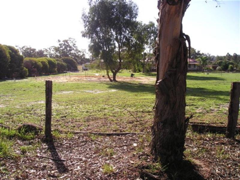 ONLY ONE LEFT Picture 2