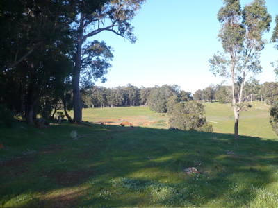 OUTSTANDING 10 ACRE LOTS FOR SALE Picture 3