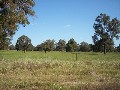 PINJARRA FOOTHILLS - PINJARRA EAST Picture