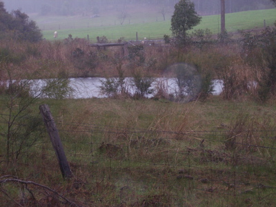 RARE FIND CLOSE TO TOWN Picture 3