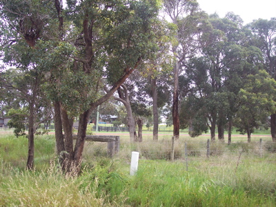 PRIME LAND Picture 3