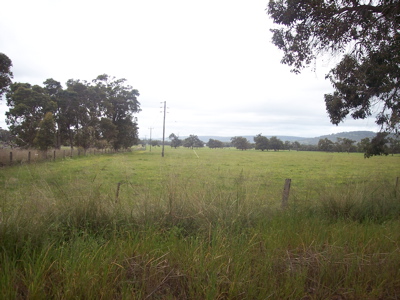 PRIME LAND Picture 1