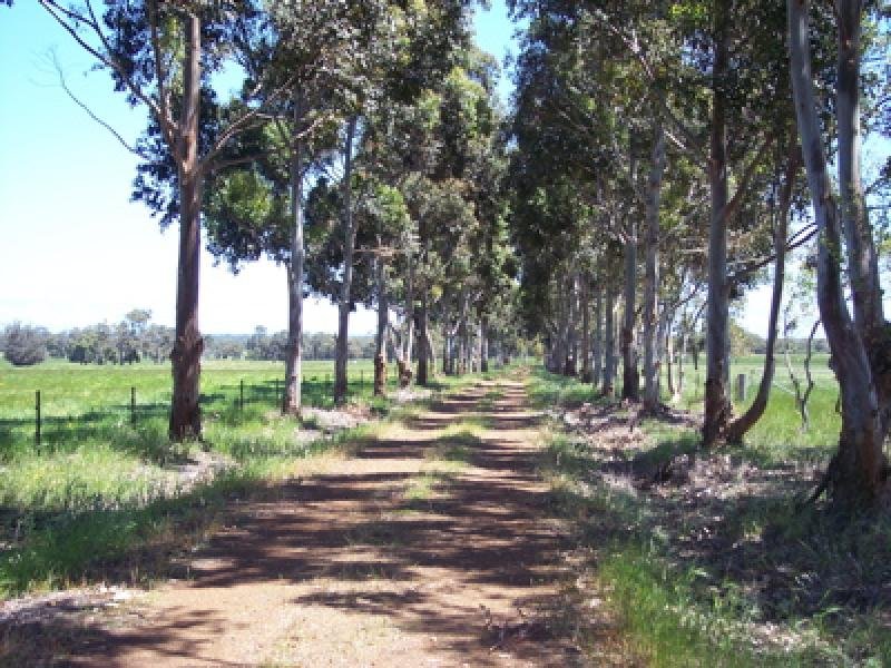 PRIME LAND - PINJARRA EAST Picture 1