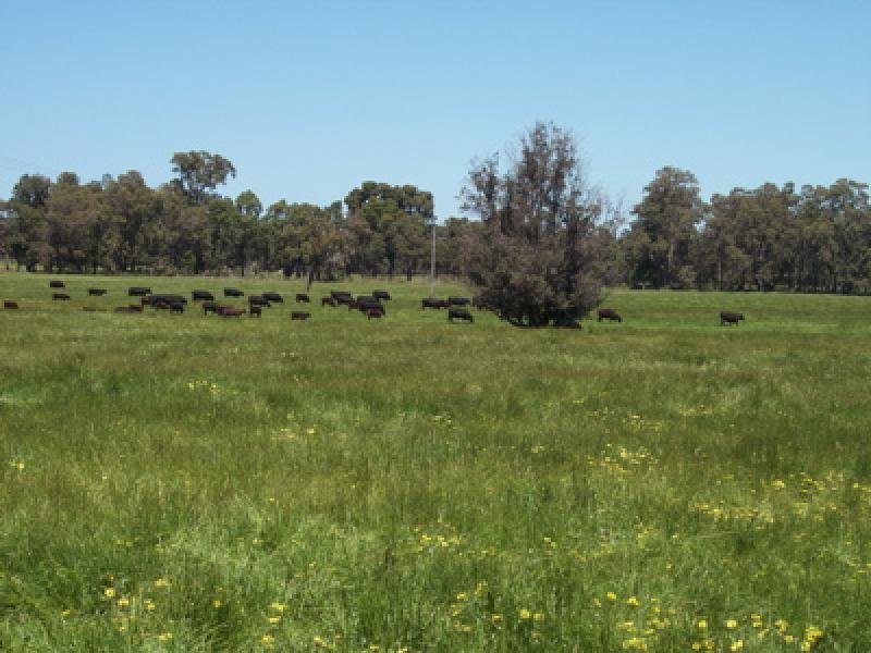 PRIME LAND - PINJARRA EAST Picture 2