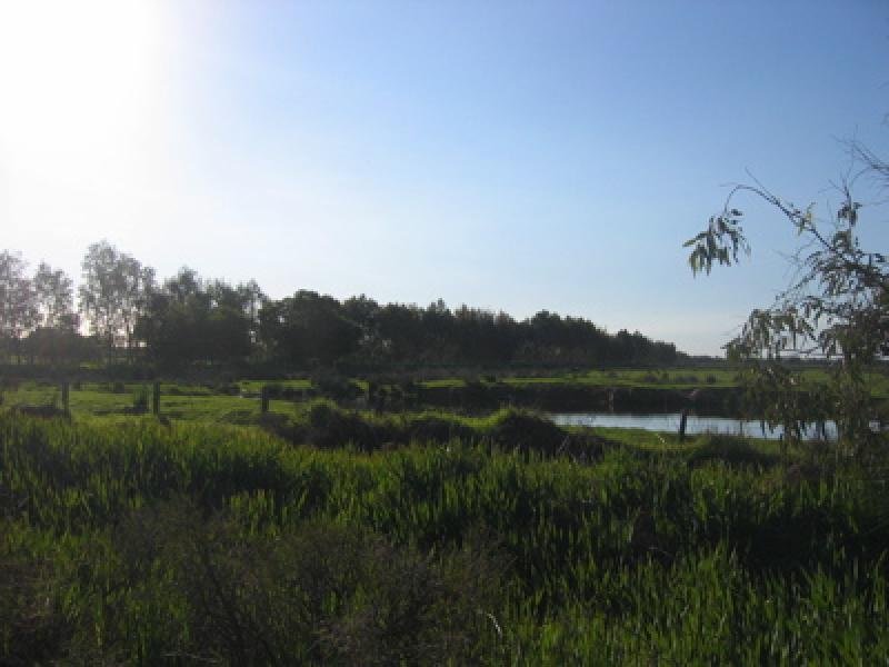 PRIME RURAL LAND Picture 3