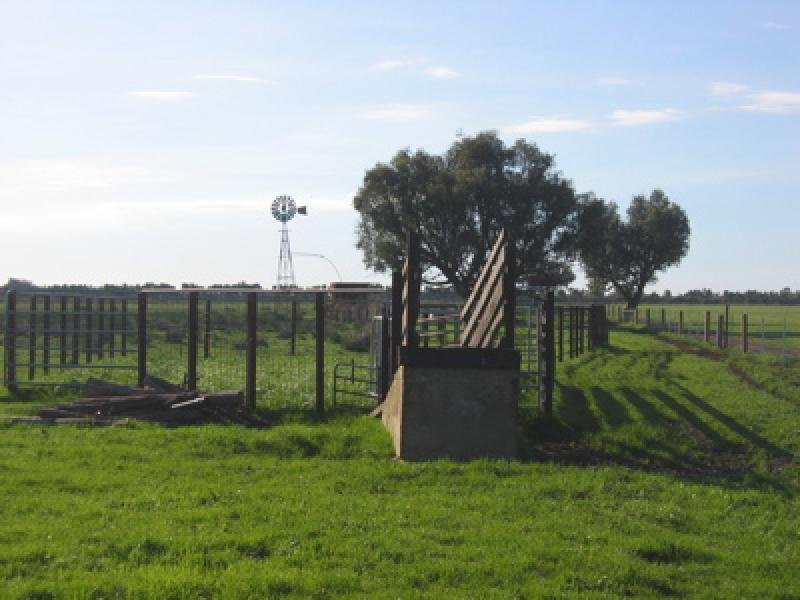 PRIME RURAL LAND Picture 2