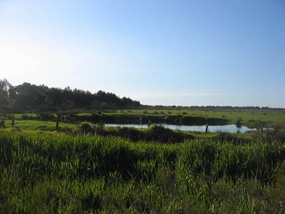 PRIME RURAL LAND Picture