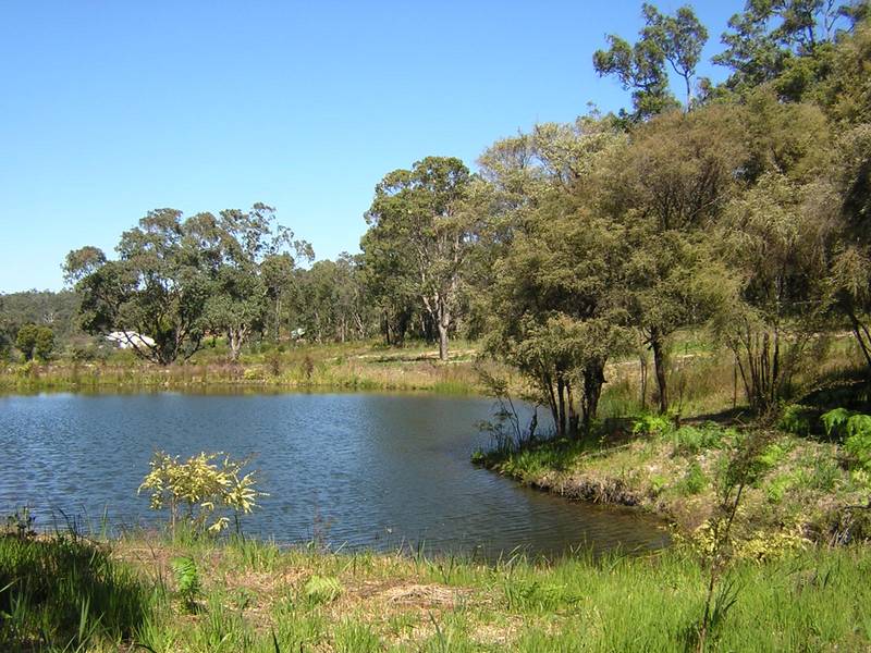 RARE ACRES - DWELLINGUP Picture 2