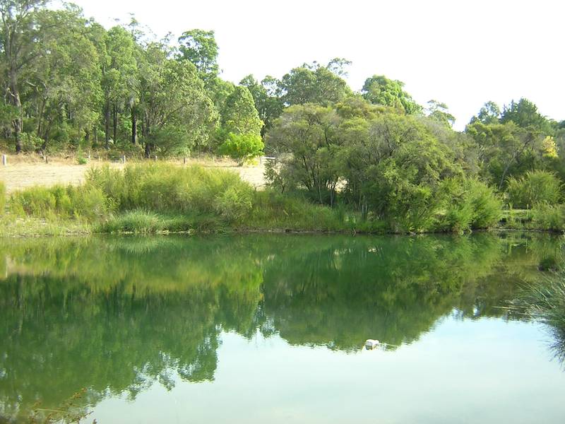 RARE ACRES - DWELLINGUP Picture 1