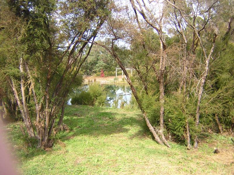 RARE ACRES - DWELLINGUP Picture 3