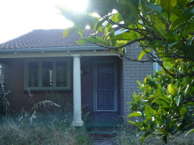 RENOVATORS DELIGHT Picture 3