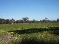 VACANT LAND - PINJARRA EAST Picture