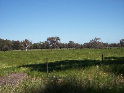 VACANT LAND - PINJARRA EAST Picture
