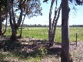 VACANT LAND - PINJARRA EAST Picture