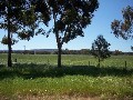 VACANT LAND - PINJARRA EAST Picture