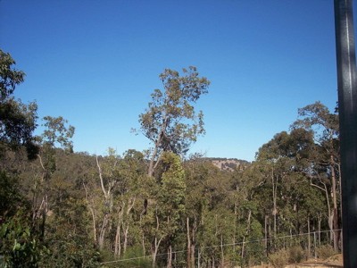 VIEWS TO COAST Picture