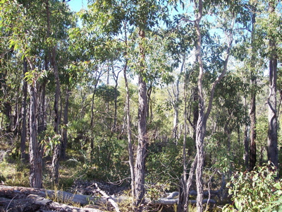 VIEWS TO COAST Picture 3