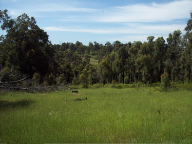 WANDERING DOWNS ESTATE Picture 1