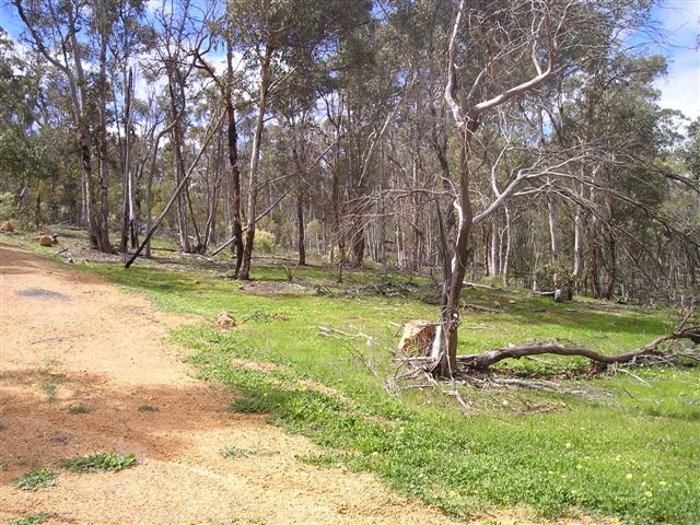 BUSH BLOCK Picture 2