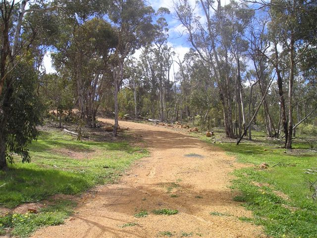 BUSH BLOCK Picture 1