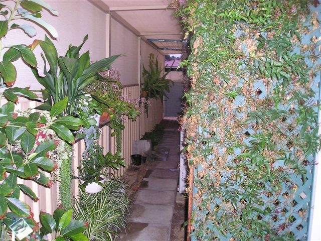 LOW UP KEEP Picture 2