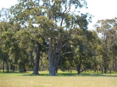 RIVER FRONTAGE Picture