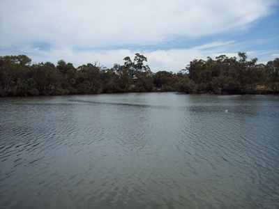METRES TO THE BOAT RAMP Picture 2