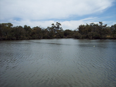 METRES TO THE BOAT RAMP Picture 2