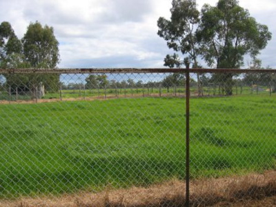 LIVING MADE EASY Picture 1