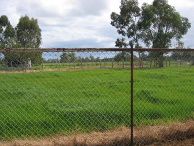 LIVING MADE EASY Picture LIVING MADE EASY Picture