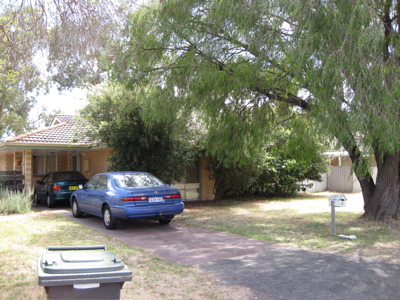 SNARE THIS BARGAIN Picture 2