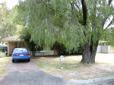 SNARE THIS BARGAIN Picture 1