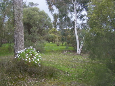 TURN YOUR BACK ON THE CITY Picture 1
