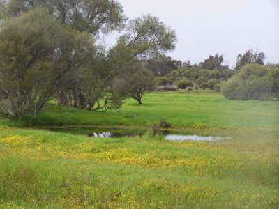 TURN YOUR BACK ON THE CITY Picture 3