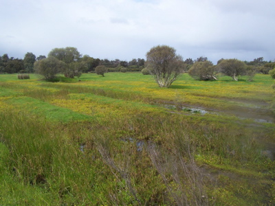 TURN YOUR BACK ON THE CITY Picture 2
