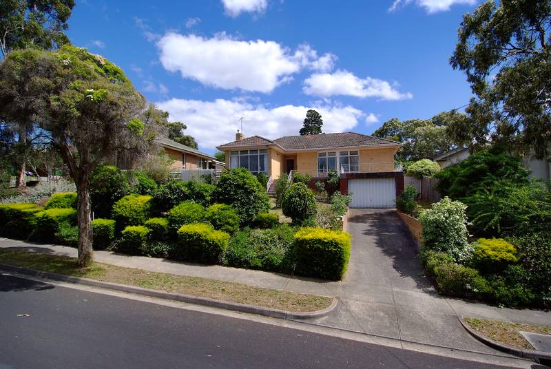 ABSOLUTE PRIME Picture 2