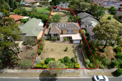 ABSOLUTE PRIME Picture