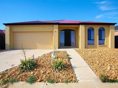 Ticks All The Right Boxes Picture Ticks All The Right Boxes Picture