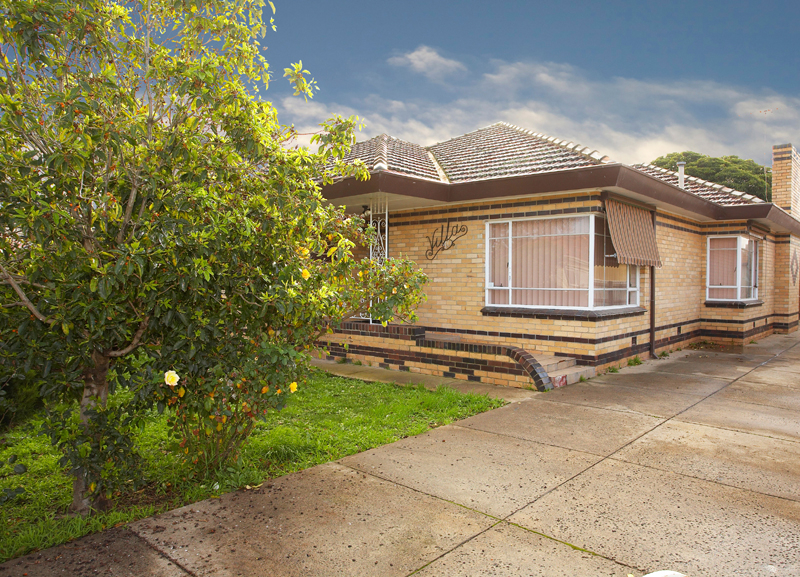 Solid Beginnings Picture 1