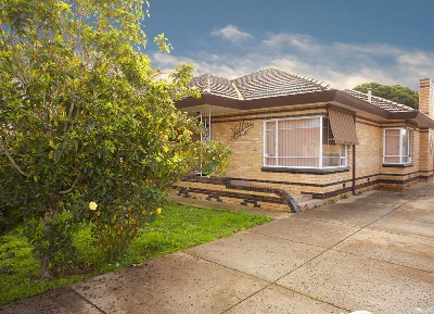 Solid Beginnings Picture Solid Beginnings Picture