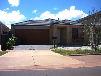 A Must See! Picture A Must See! Picture