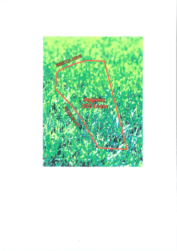 Large Corner Block with Excellent Street Exposure Picture 1