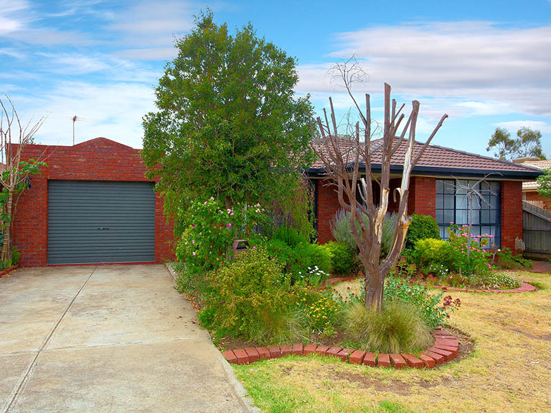 This Just Won't Last ! Picture 1