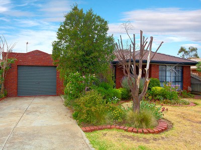 This Just Won't Last ! Picture