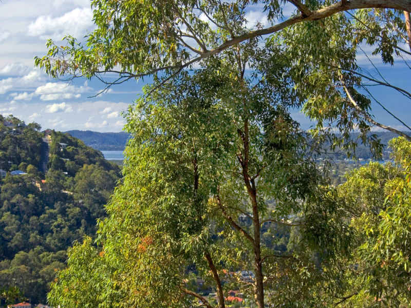 Family Home With Inground Pool & Views!! Picture 3