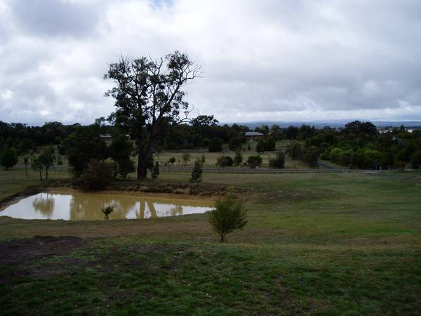 Fabulous Views - 4 bedrooms - 5 Acres - Smythes Creek Picture 3